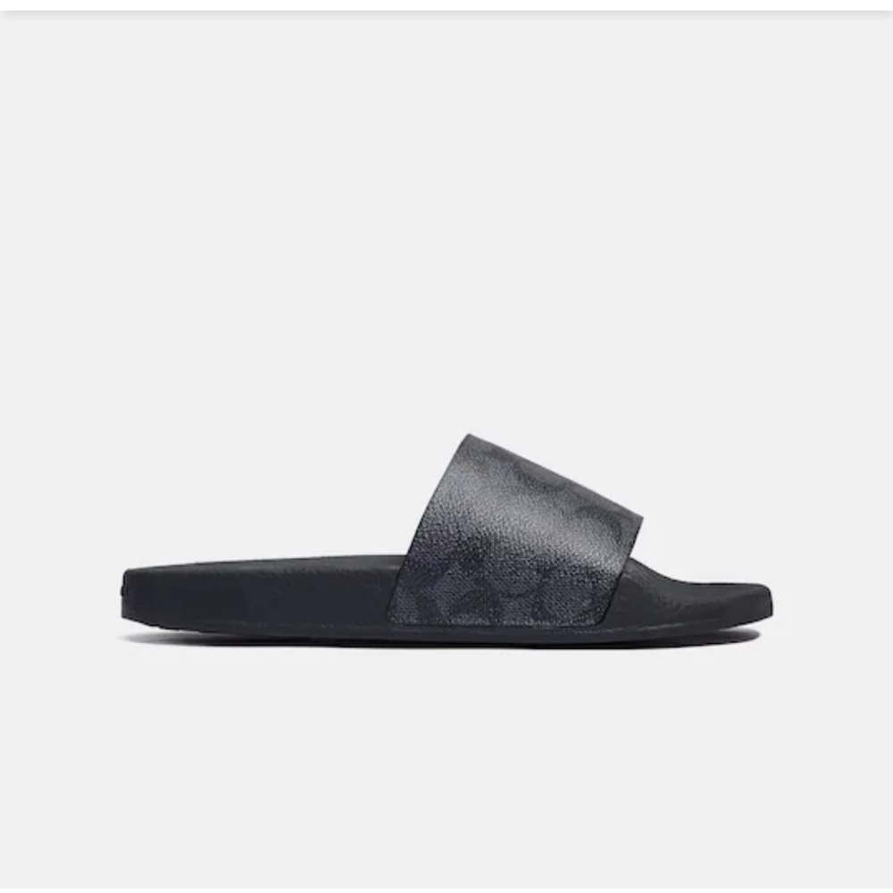 Coach slides - Picture 2 of 4